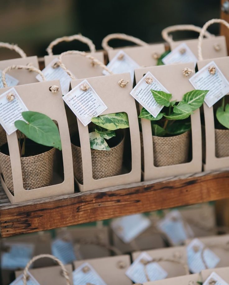 Al Natural Love Plants