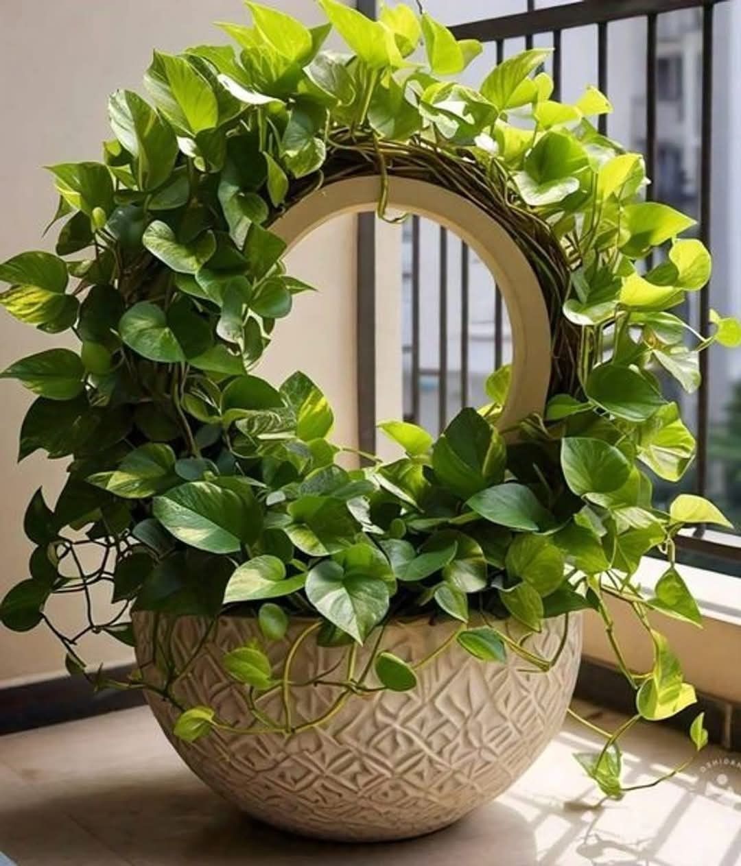 Our Process in Action